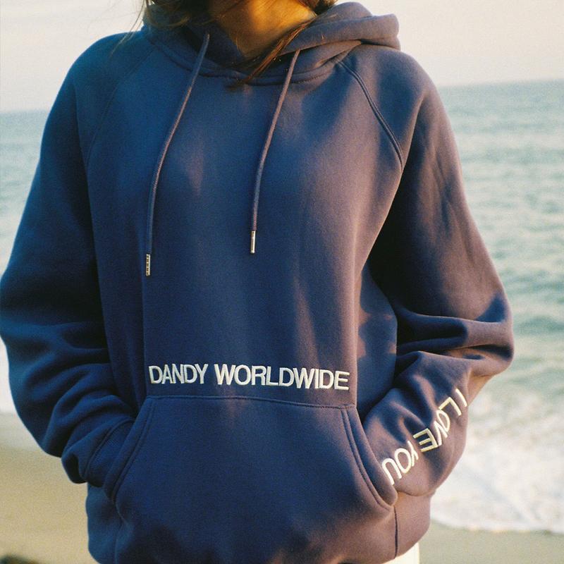 Dandy Words of Affirmation Hoodie Printed Navy - Oversized Dandy Worldwide Hoodie for Women - Cozy Cotton Aesthetic Streetwear