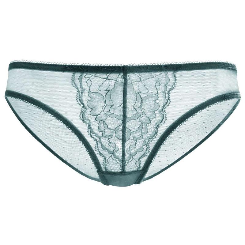 Live Exclusive HSIA Enchante Floral Lace Sheer Mesh Back Mid-Rise Brief Matching Panty Underwear