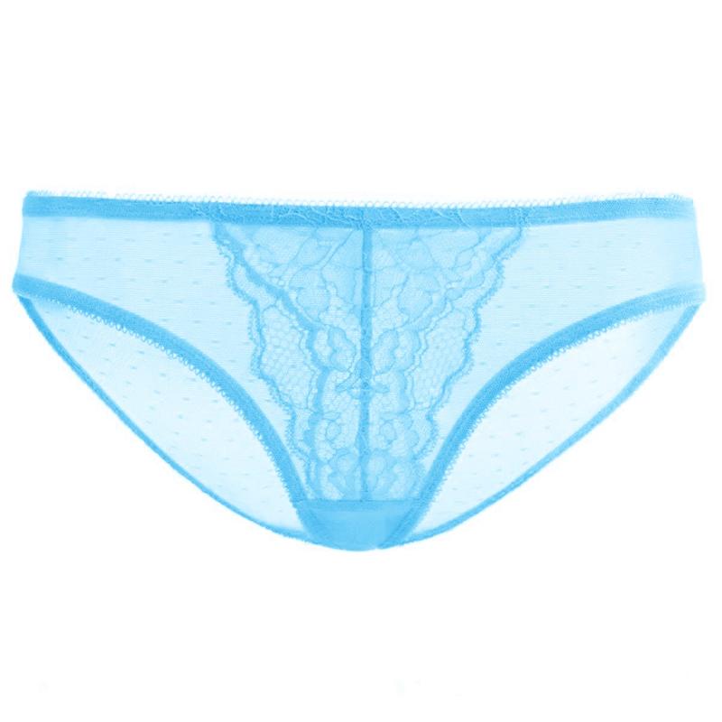 Live Exclusive HSIA Enchante Floral Lace Sheer Mesh Back Mid-Rise Brief Matching Panty Underwear