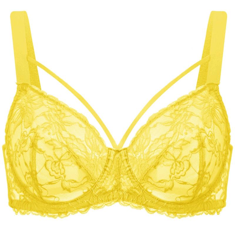 Live Only HSIA Pretty In Petals Unlined Strappy Floral Lace Unpadded Plus Size Underwire Bra