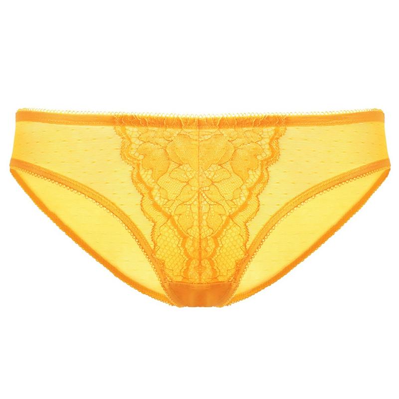 Live Exclusive HSIA Enchante Floral Lace Sheer Mesh Back Mid-Rise Brief Matching Panty Underwear