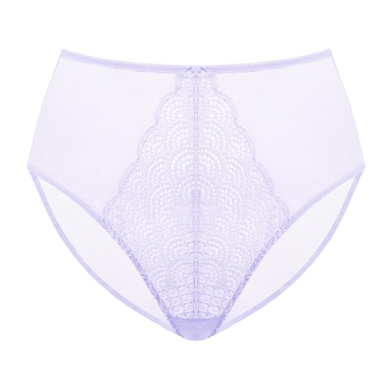 Mermaid Scales Lace Sheer Mesh Back High-Rise Brief Underwear Matching Panty